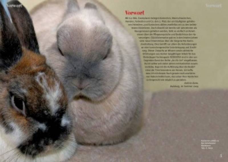 Preview: Kaninchen